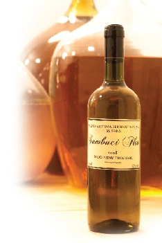 Z wizytą u Michała Saksa