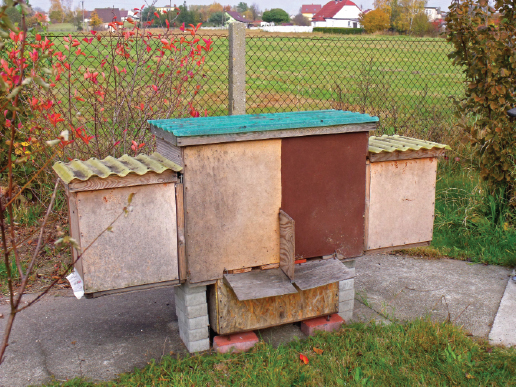 Uniwersalny ul warszawsko-wielkopolski