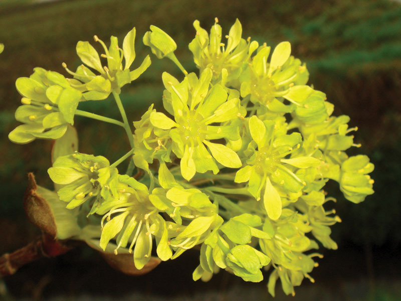 fot.© Dariusz Małanowski