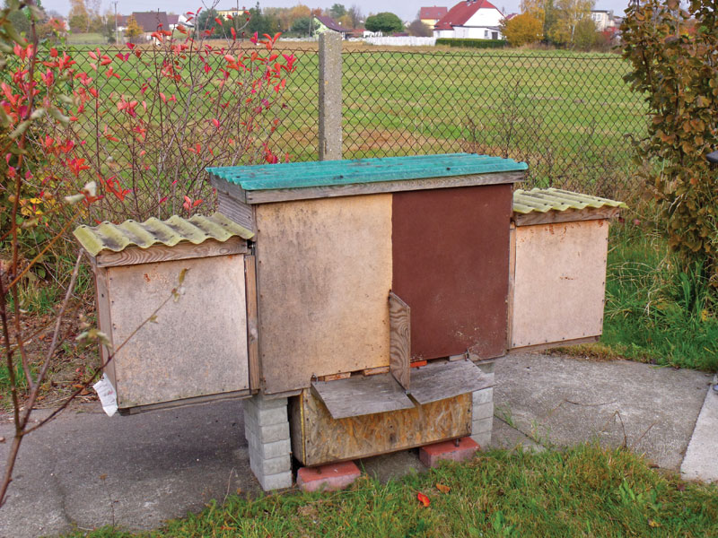 Uniwersalny ul warszawsko-wielkopolski.