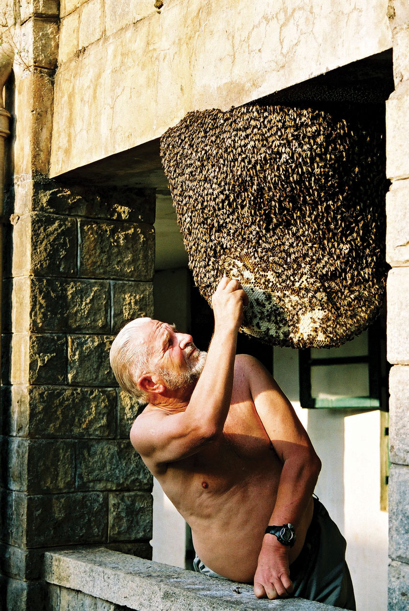 Profesor Jerzy Woyke honorowym członkiem IBRA