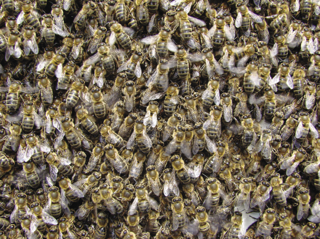 Uniwersalny ul warszawsko-wielkopolski, cz. 3.