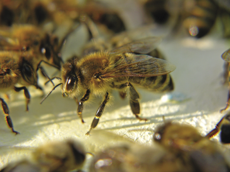 Jak się latem dba, tak się wiosną ma
