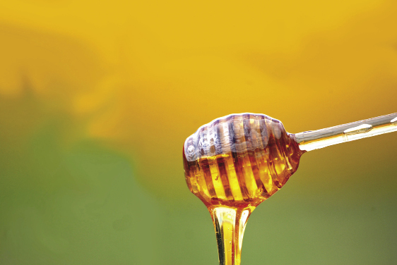 Drożdżaki i rozkruszki jako zanieczyszczenia i szkodniki miodu