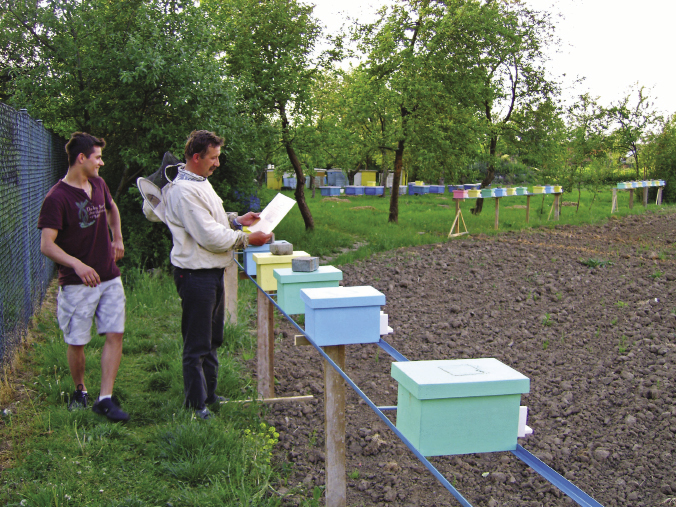 Unasienianie matek. Jan Biernacki z symem Mateuszem w czasie kontroli unasienienia. (fot. © Łukasz Biernacki)