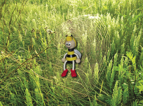 Pszczoł@ w Sieci, cz. 2.