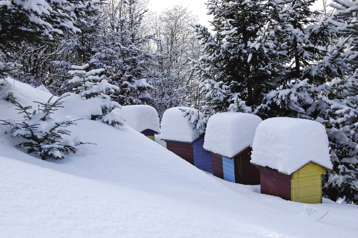 Prawie wszystko o zimowaniu