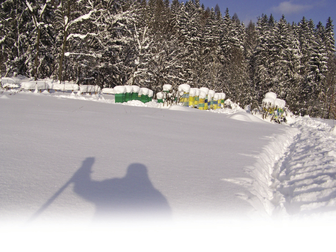 10 zasad prowadzących do sukcesu