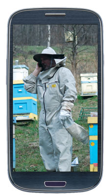 Pszczoły kontra telefony komórkowe