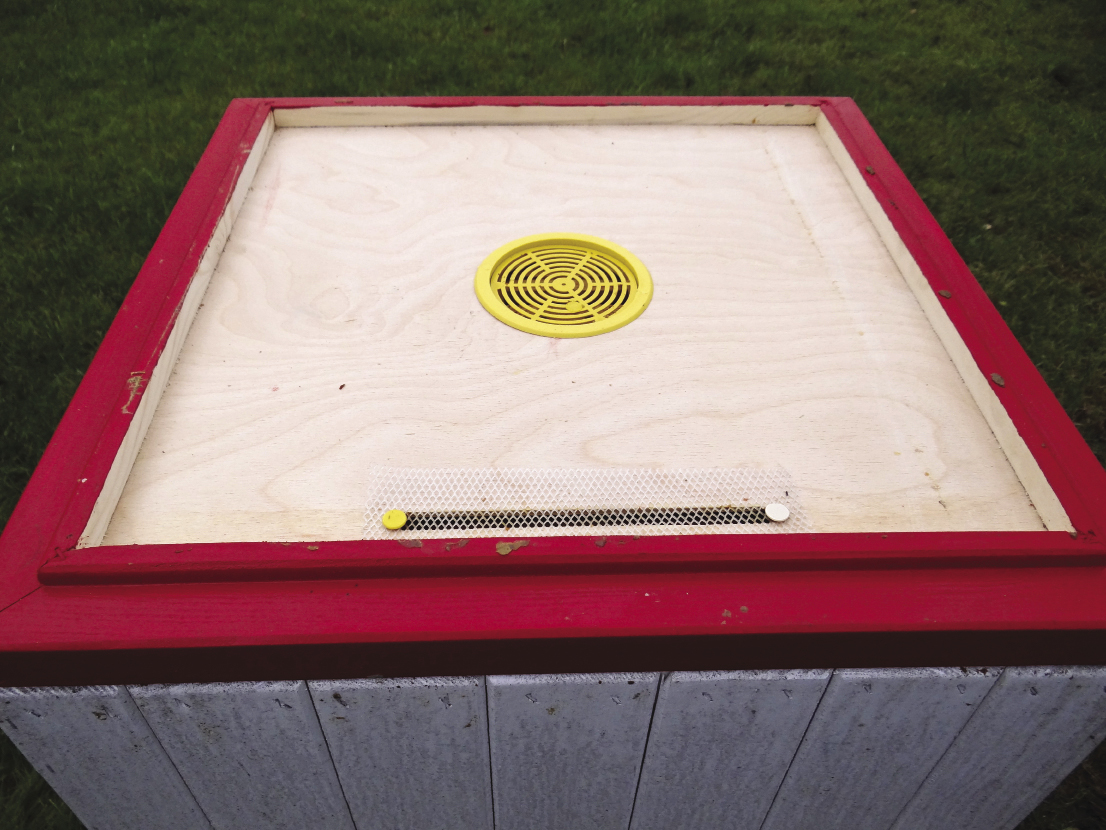 fot.© Dariusz Karwan