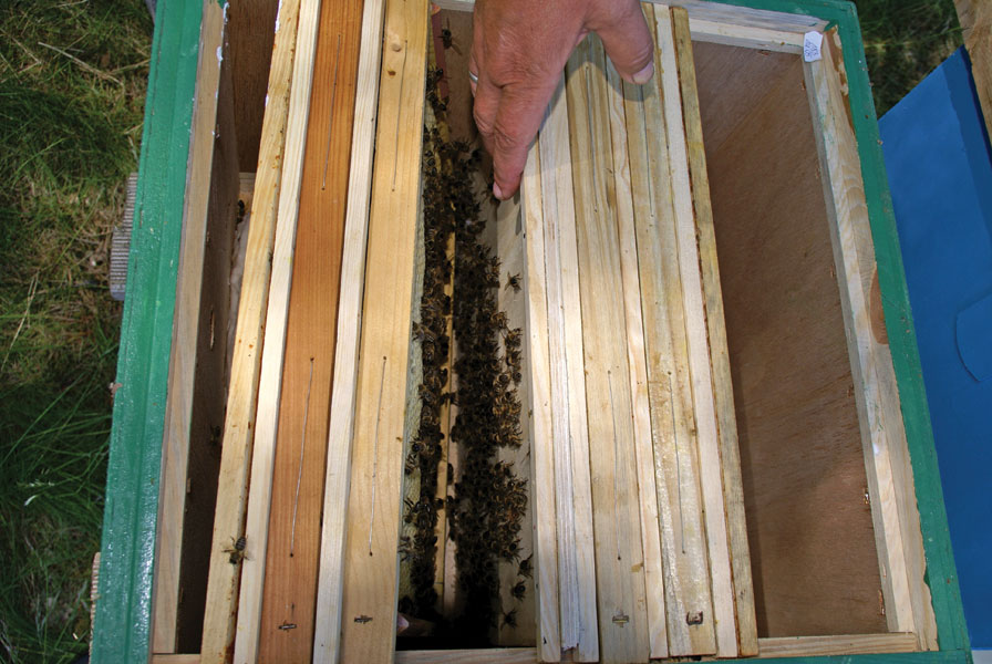 Mój sposób na tworzenie odkładów