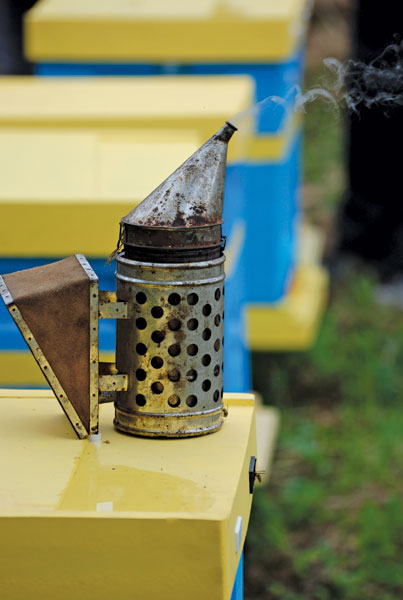 List w obronie pasiek amatorskich