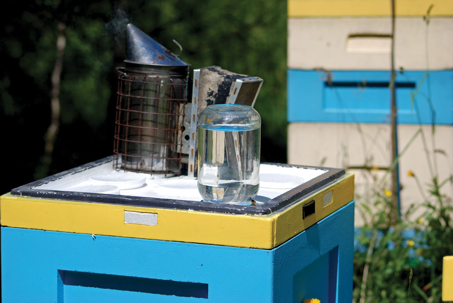 By pszczołom nie brakło