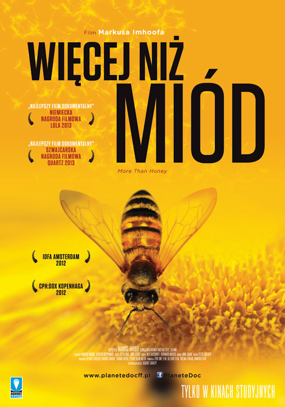 Więcej niż miód – wywiad z Markusem Imhoofem