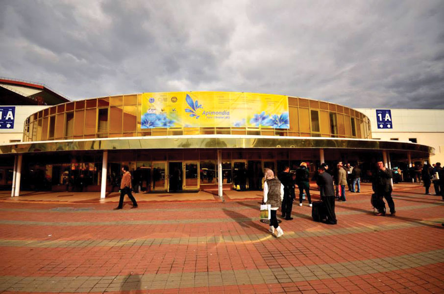 Apimondia 2013 - złoto dla zuchwałych