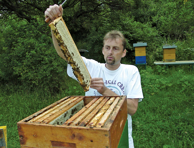 fot.© Krzysztof Kasperek - pszczelarz przy ulu