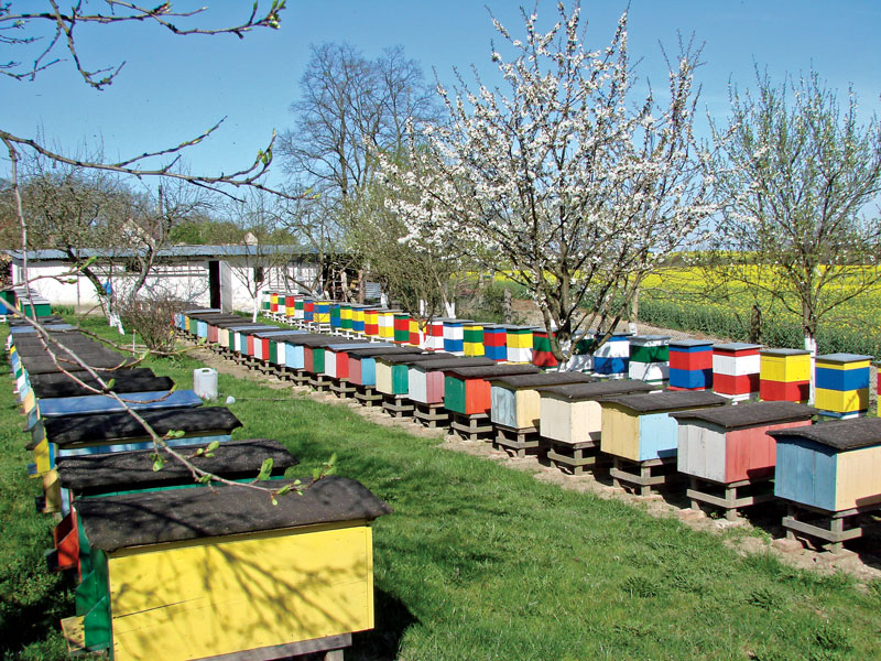 By ul pasował jak ulał, cz. 4, czyli jakie matki użytkować?