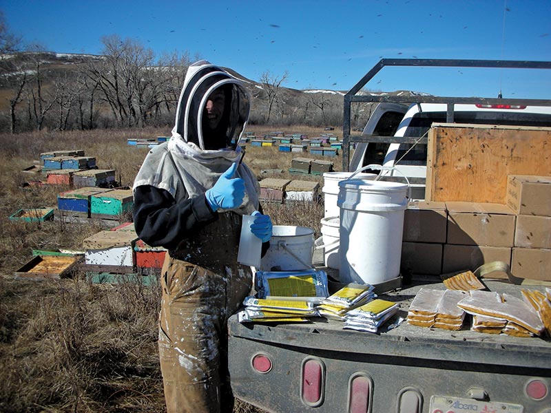 Kanadyjskie pasieki towarowe, cz. 4.