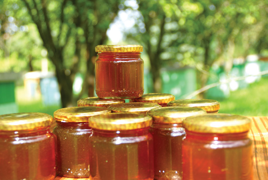 Znaczenie metod opisujących jakość i odmianowość miodu