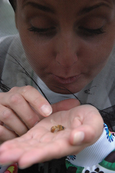 Pszczelarstwo dla najmłodszych