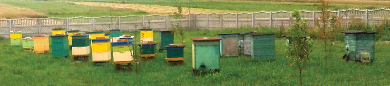 Gospodarka pasieczna w leżakach inaczej, cz. 3.