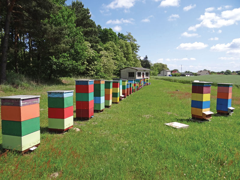 Nie tylko o sprzedaży