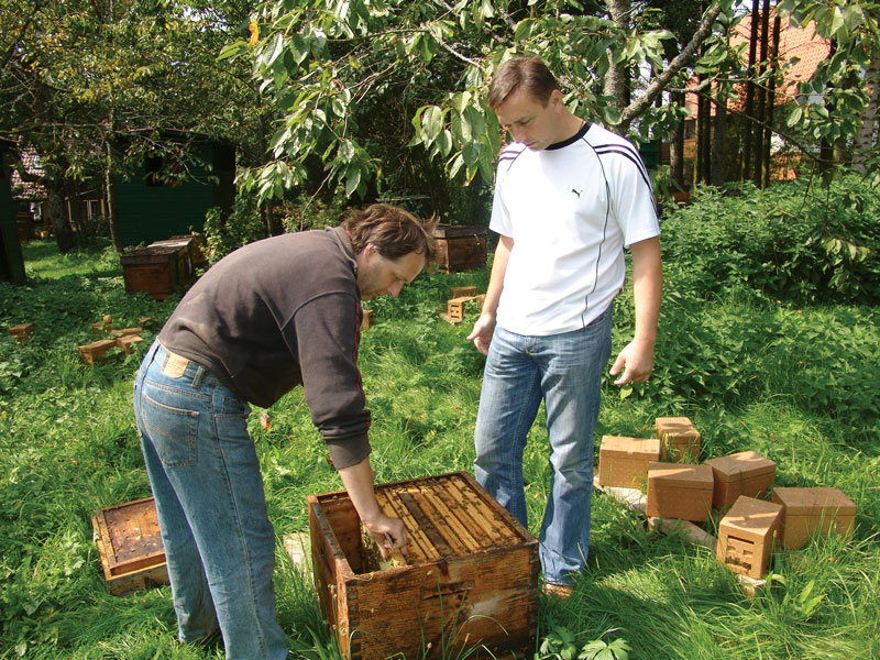 Język pszczelarski – przedmiot podstawowy