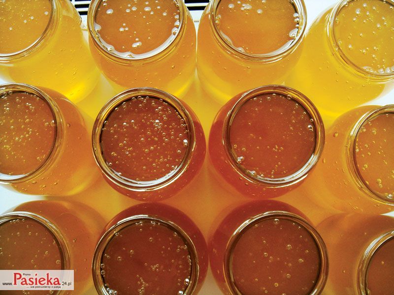 Pszczelarski kurs marketingowy (II edycja), cz. 4.