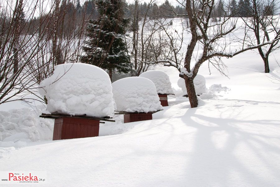 2014 – Był taki sezon