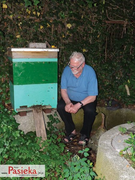 Profesor Woyke w&nbsp;prywatnej pasiece.