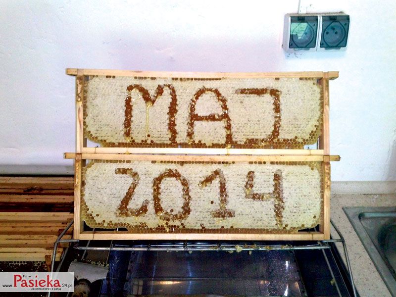 Kilka zasad racjonalnego zarządzania pasieką komercyjną