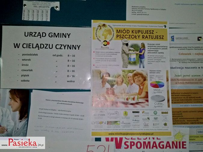 Nowe działania w akcji „Miód kupujesz – pszczoły ratujesz”