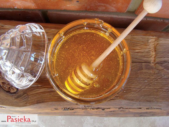 Możliwości wykorzystania miodu w onkologii, cz. 3.