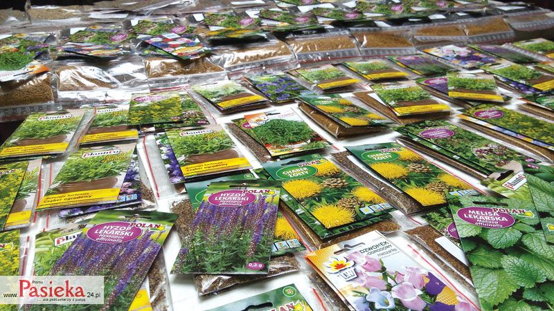 „Miód kupujesz – pszczoły ratujesz” nadal trwa