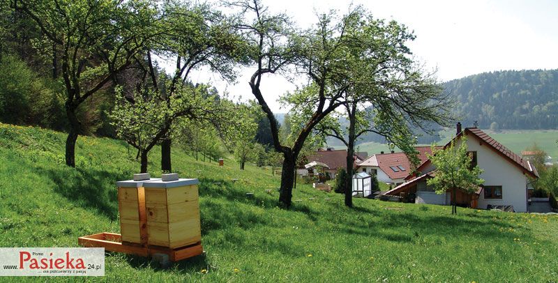 Czy jest możliwe określenie pochodzenia geograficznego miodu? Cz. 2.