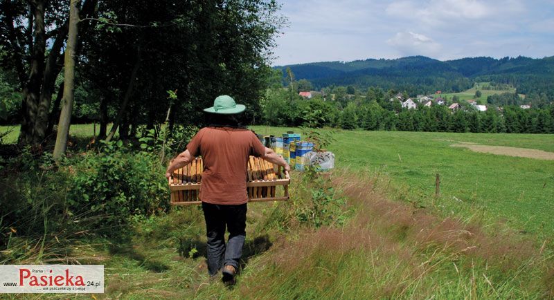 Ubezpieczenia społeczne rolników