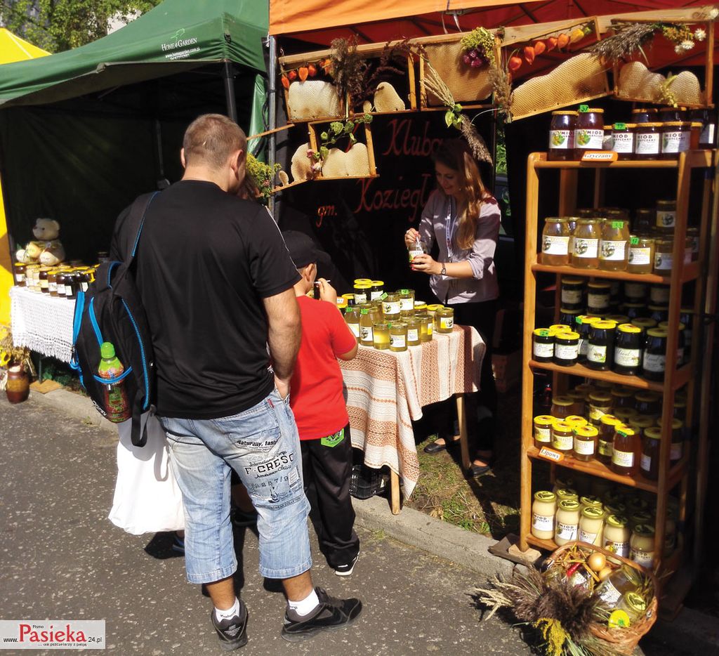 Pasieka nr 74 (6/2015)