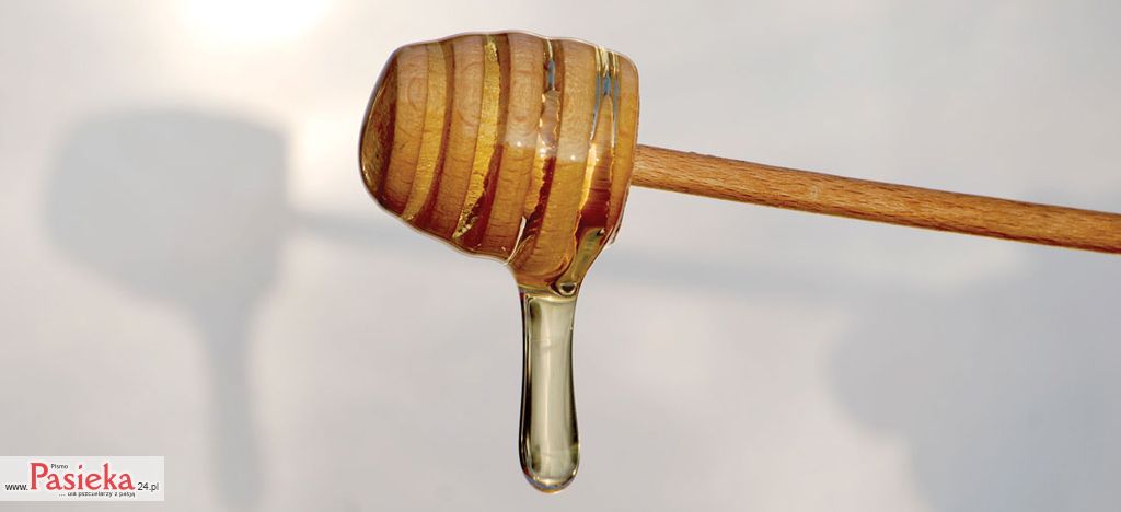 Leczenie zapalenia gruczołu krokowego za pomocą produktów pszczelich, cz. 2.