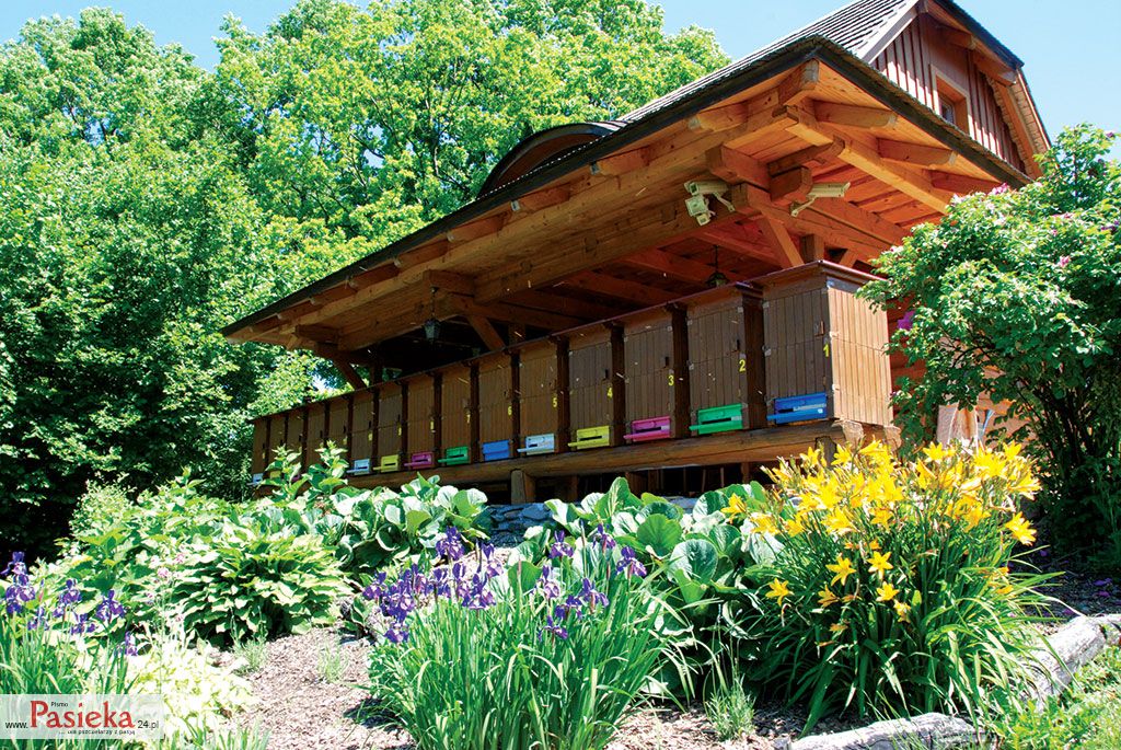 Optymalne zagospodarowanie przestrzeni w pasiece