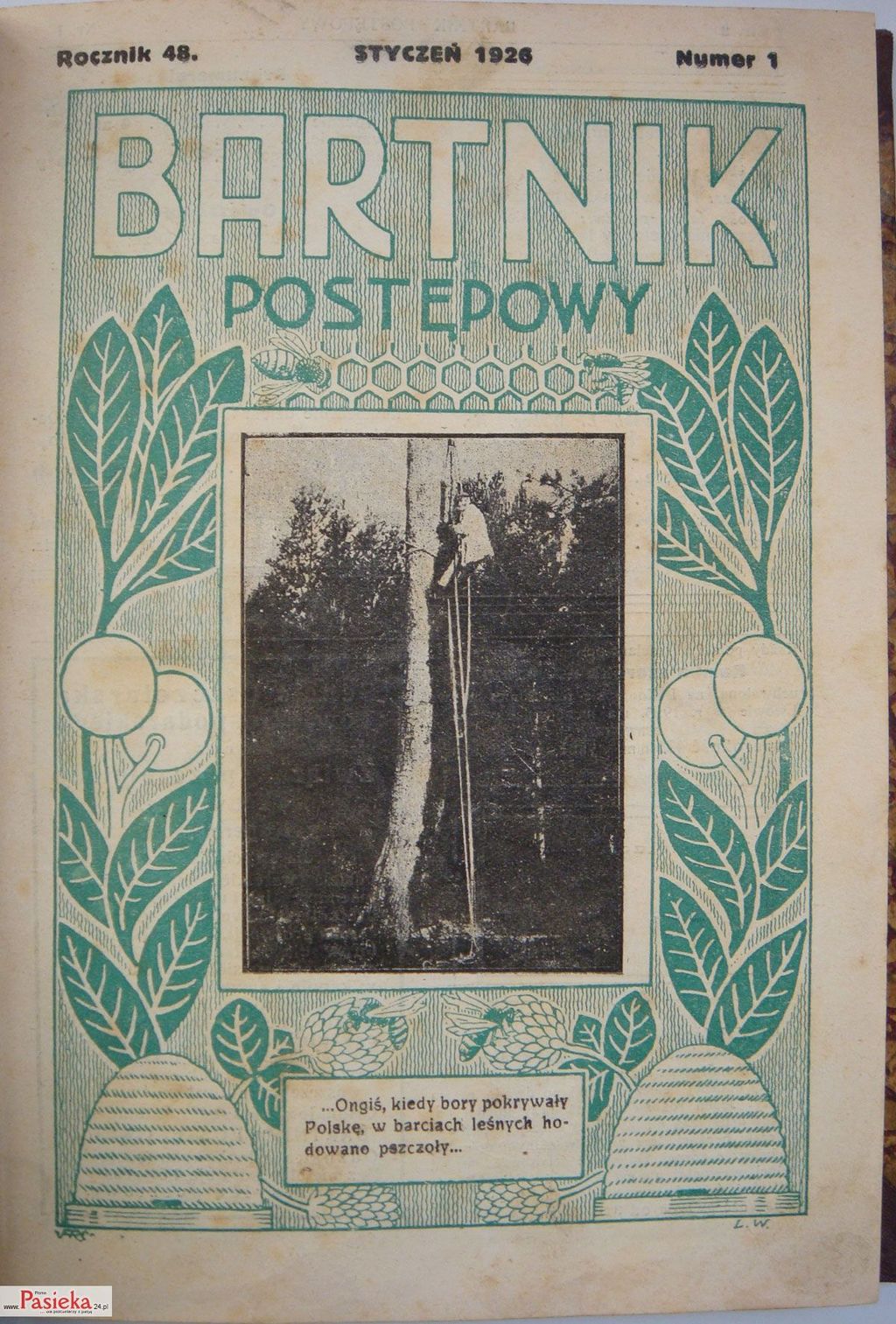 Pasieka nr 75 (czasopisma_08564.jpg)