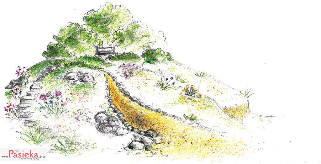Ochrona lokalnej przyrody - ogrody przyjazne pszczołowatym