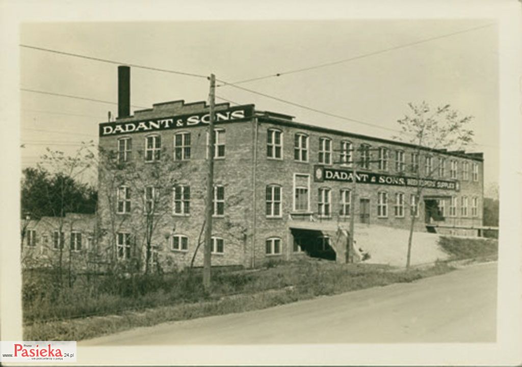 Pasieka nr 77 (rodzina-dadant_fabryka Dadant)