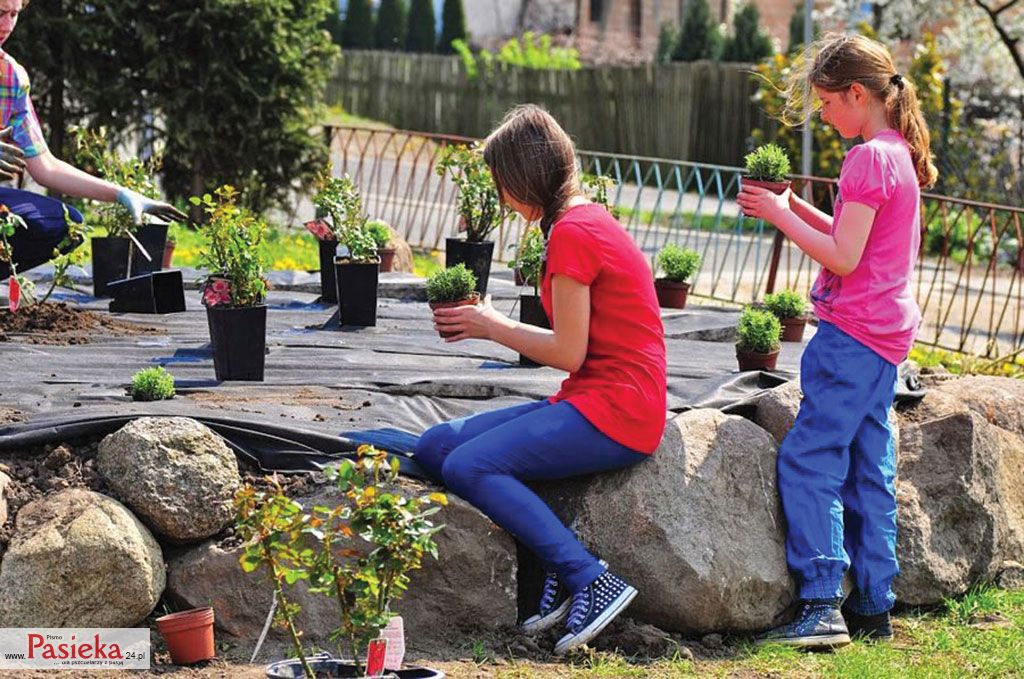 Pasieka nr 78 (ochrona-pszczol_Zdjecie4HSz)