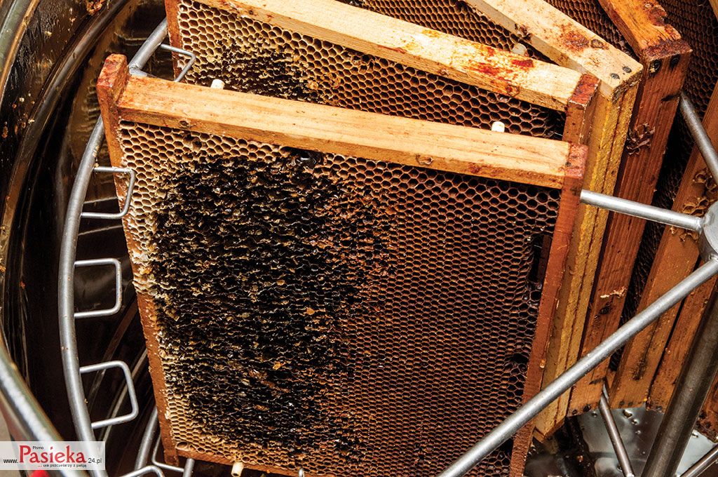 Najczęściej popełniane błędy w pozyskiwaniu miodu mające wpływ na jego jakość, cz. 2.