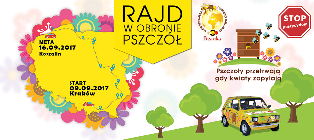 Pszczoły przetrwają gdy kwiaty zapylają