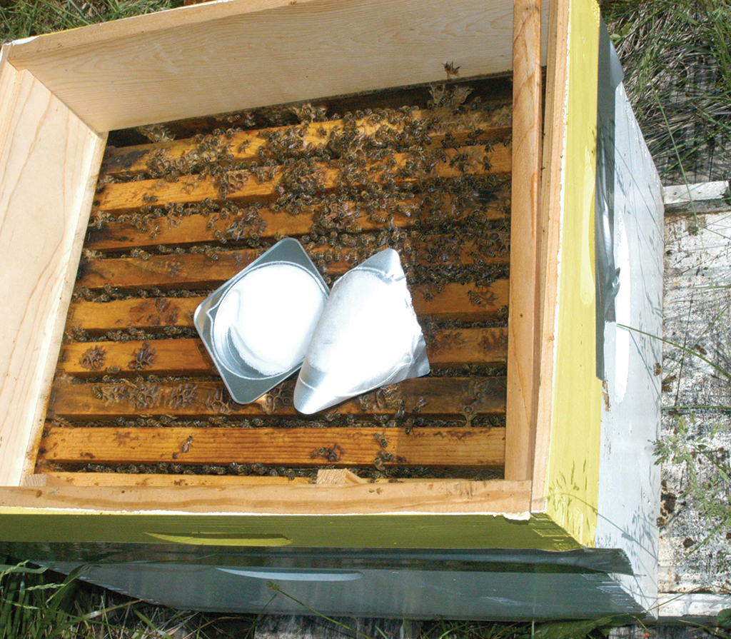 Zastosowanie nowych leków do zwalczania warrozy: Apiguard, Api Life Var i  Thymovar, cz. 1.