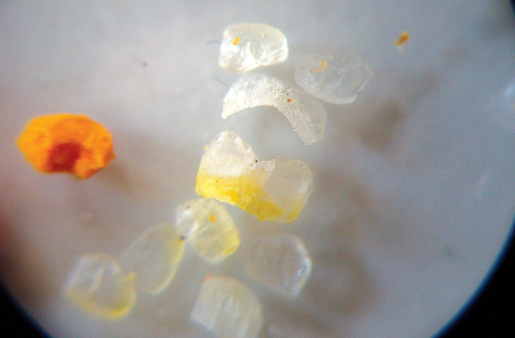 Pasieka nr 90 (Dwie_podwojne)