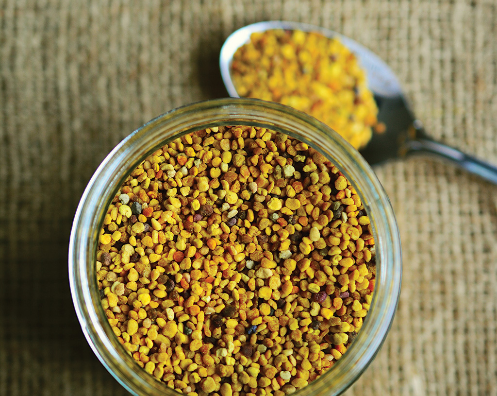 Pasieka nr 90 (bee-pollen-2549125)