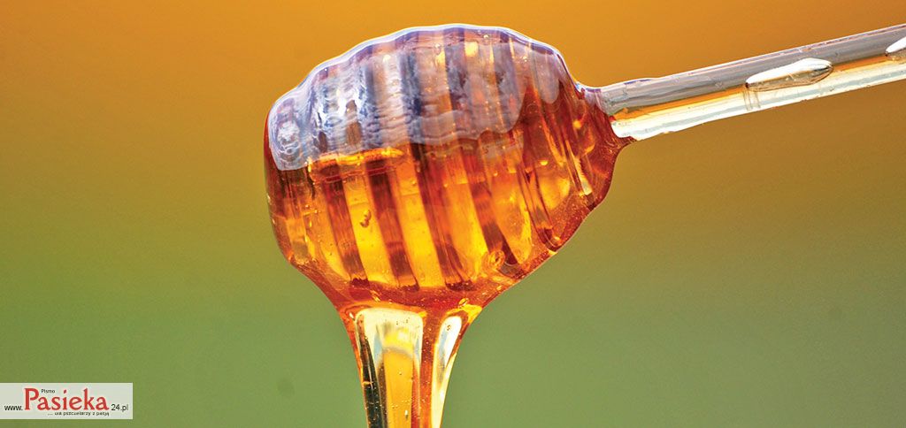 Pasieka nr 91 (apiterapia_DSC_0001)