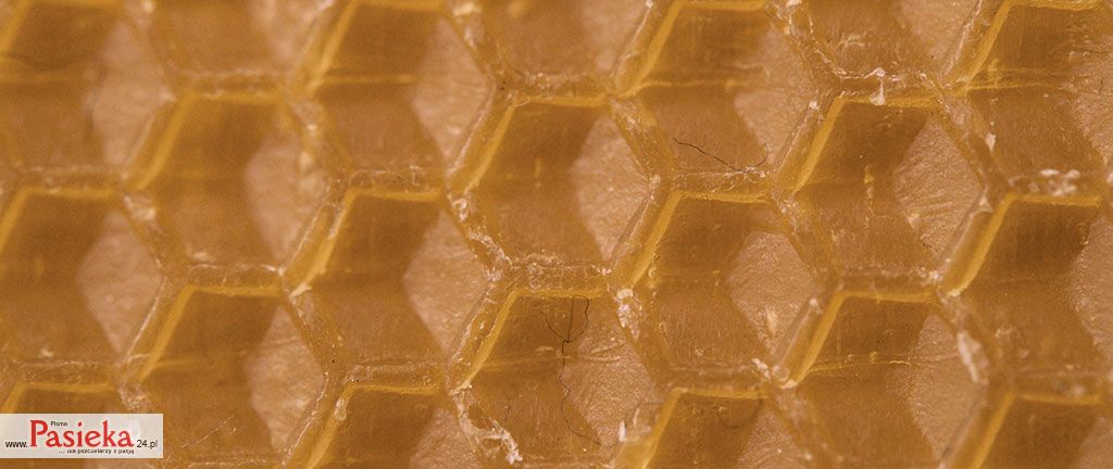 Praktyczna metoda wytopu woszczyny i dezynfekcji ramek